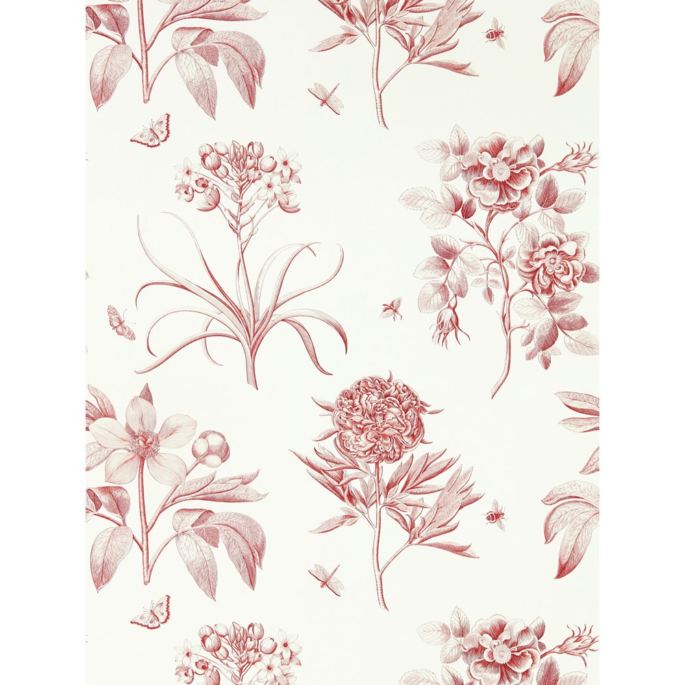 Etchings & Roses Wallpaper 217054 by Sanderson in Amanpuri Red